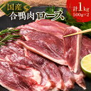 【ふるさと納税】国産合鴨肉 むね ロース 約500g×2 あいがもロース 鴨鍋用肉 鴨南蛮そば用 鴨しゃぶしゃぶ ヘルシー鴨肉 冷凍鴨肉 F6P-2791