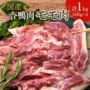【ふるさと納税】国産合鴨肉 モモ肉 約500g×2 あいがもモモ肉 鴨鍋用肉 鴨肉ステーキ用 ヘルシー鴨肉 冷凍鴨肉 F6P-2792