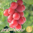 【ふるさと納税】【高島屋選定品】ルビーロマン 一房 (700g以上)ぶどう 高級 ブドウ 葡萄 デザート フルーツ 果物 くだもの F6P-2833