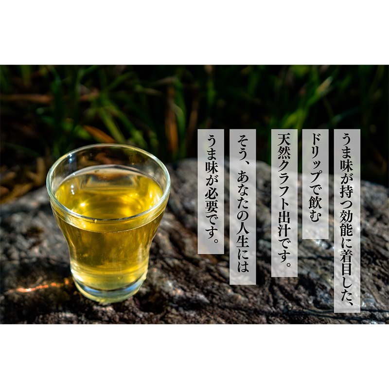 【ふるさと納税】「人生にうま味を」天然素材だしドリップパック 30g（10g×3袋）かつお節 目近 あじ さば 煮干し 昆布 だし ダシ 出汁 調味料 海産物 食品 F6P-2942