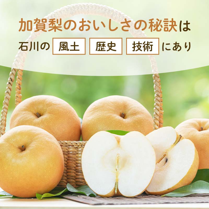 石川県加賀市の画像3