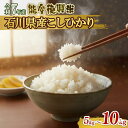 【ふるさと納税】 先行予約 米 こしひかり 令和7年産 選べる 精米 5kg 10kg 石川県産 能登復興米 単品 能登 米 減農 新米 予約 石川県産 能登米 エコ 栽培 白米 コメ お米 2025年産 おこめ 精米 ごはん コシヒカリ おいしい 令和7年 能登 石川県 羽咋 能登 復興支援