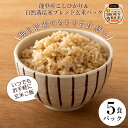 【ふるさと納税】[A084] 能登産玄米パックご飯「はくいブラウンライス」5個セット