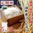  《減農薬・減肥料》エコ栽培こしひかり「のと米プレミアム」精米5kg×3回定期便コース