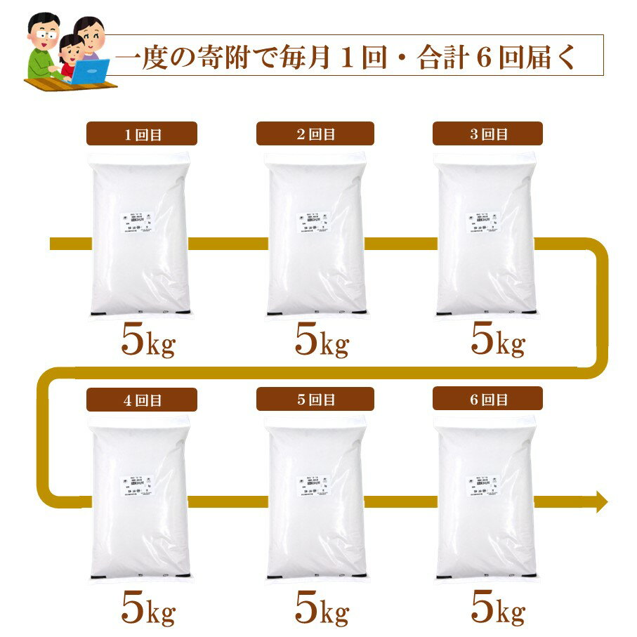 【ふるさと納税】[A199] 《減農薬・減肥料》エコ栽培こしひかり「のと米プレミアム」精米5kg×6回定期便コース