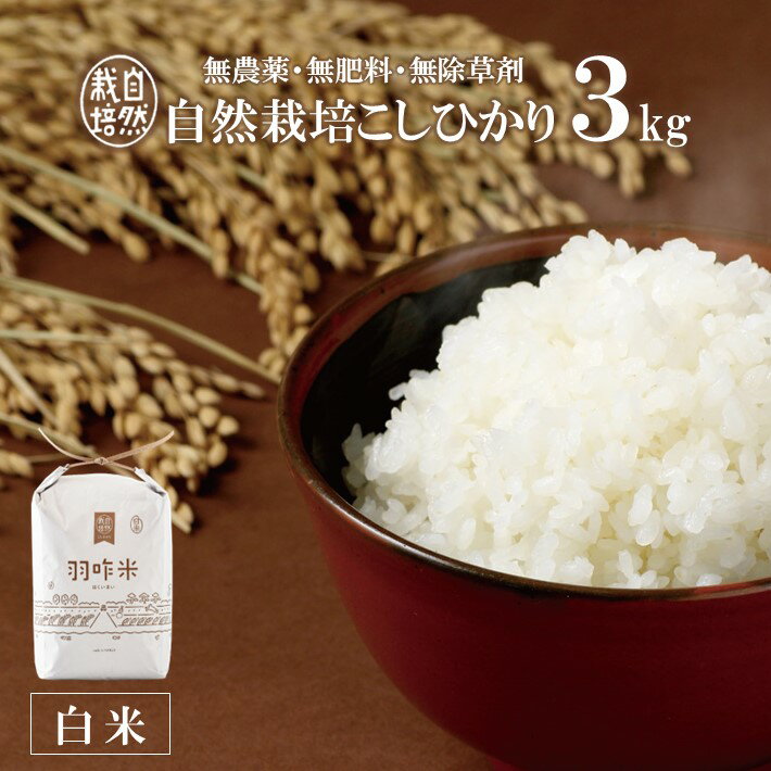 【ふるさと納税】【令和4年産】[A016] 【無農薬】【白米】能登のこだわり自然栽培こしひかり『羽咋米』 3kgのサムネイル
