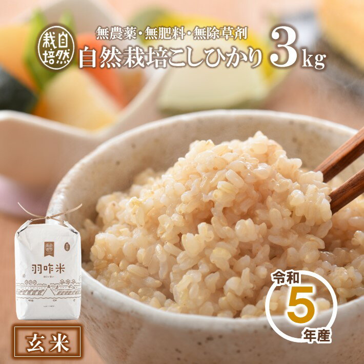 【ふるさと納税】【令和4年産】[A017] 【無農薬】【玄米】能登のこだわり自然栽培こしひかり『羽咋米』 3kgのサムネイル