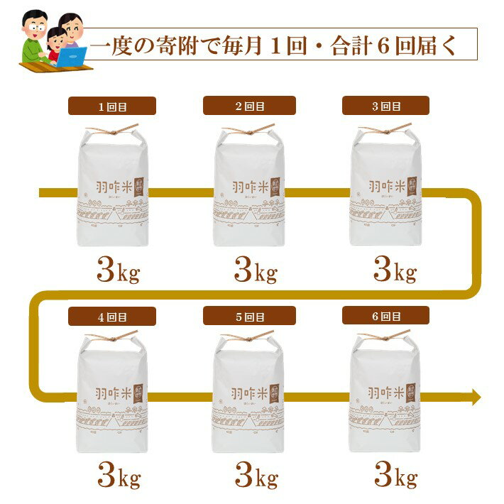 【ふるさと納税】[A024] 【定期便】【無農薬】【白米】能登のこだわり自然栽培こしひかり『羽咋米』 3kg×6回コース