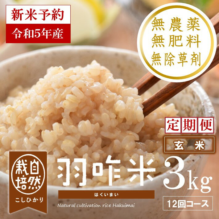【ふるさと納税】[A076] 【定期便】【令和5年産・新米予約（11月発送開始）】【無農薬】【玄米】能登のこだわり自然栽培こしひかり『羽咋米』 3kg×12回コースのサムネイル