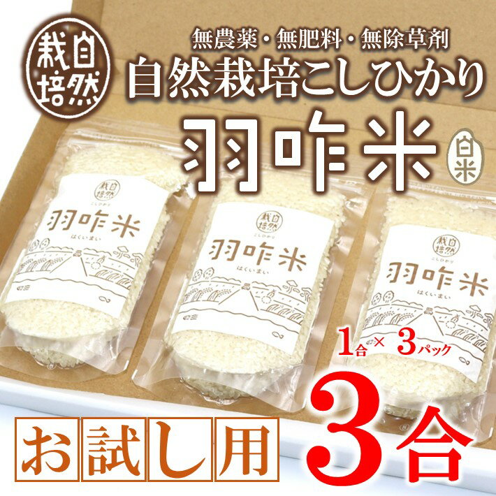 【ふるさと納税】[A222] 【無農薬・無肥料】自然栽培こしひかり『羽咋米』お試し3合（真空パック）のサムネイル