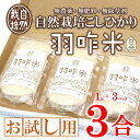 40位! 口コミ数「1件」評価「5」[A222] 【無農薬・無肥料】自然栽培こしひかり『羽咋米』お試し3合（真空パック）