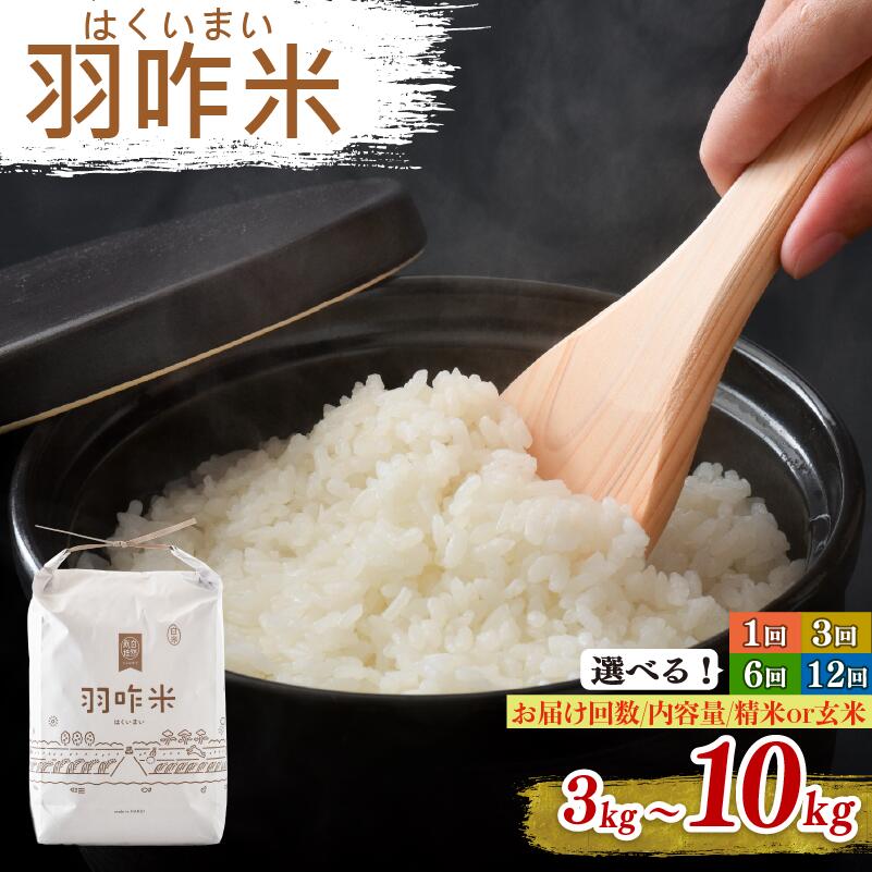 12月以降発送開始 新米 単品 定期便 選べる 新米予約 令和7年産 こしひかり 羽咋米 自然栽培米 玄米 白米 10kg 5kg 3kg 単品 定期便 12回 6回 3回 能登 こだわり 精米具合 選べる 数量 限定 環境 R7 お米 米 こめ 能登 石川 はくい 復興支援 災害 支援