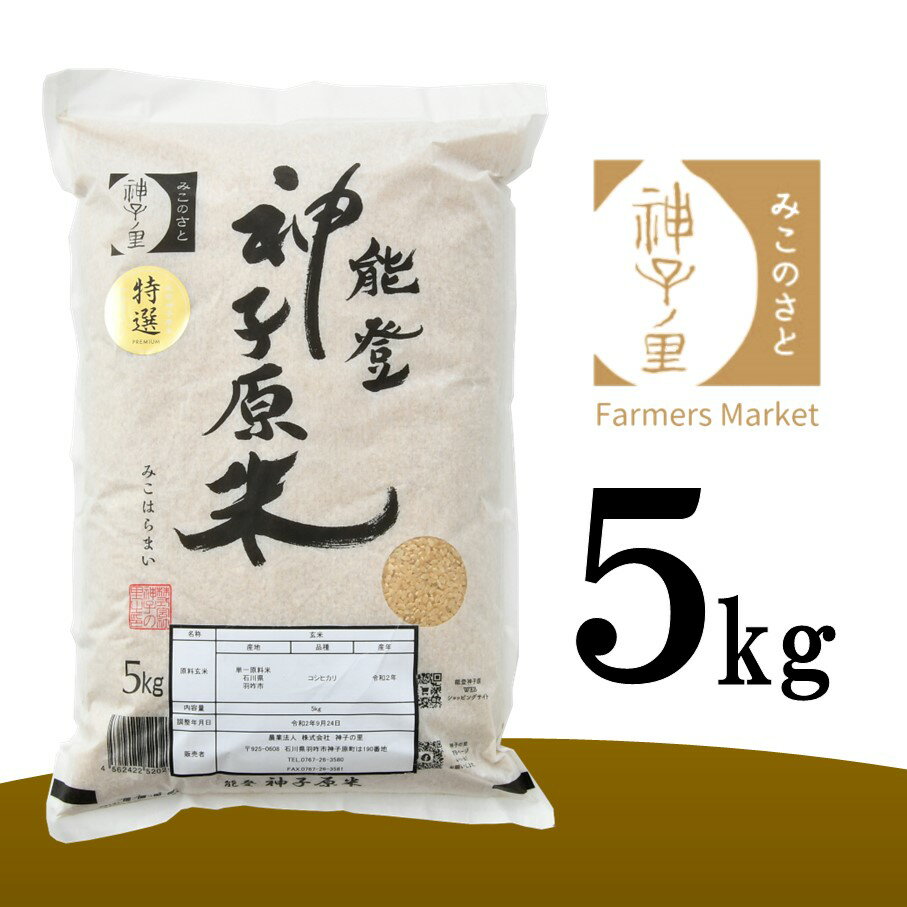 【ふるさと納税】[A095] 【令和5年産】能登神子原米 5kg（玄米）