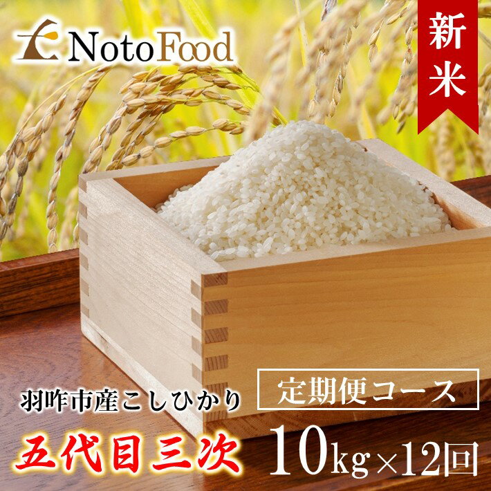 [A120] 【定期便コース】能登米こしひかり「五代目三次」石川県羽咋市産10kg×12回コース