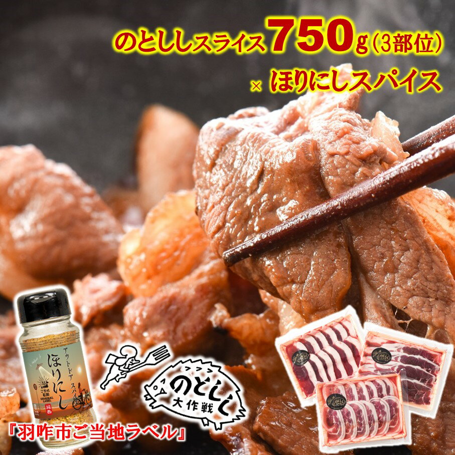 【ふるさと納税】[B026] のとしし肉スライス750g×ほりにしスパイス1本