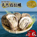 【ふるさと納税】 能登 柴垣産 天然 岩牡蠣 特大 8個 生食用 産地直送 柴垣の天然岩ガキ 新鮮 冷蔵 鮮度抜群 殻付き 大粒 濃厚 クリーミー ブランド 牡蠣 カキ 海鮮 カキ プリプリ 肉厚 旨味 凝縮 魚介類 魚貝類 おすすめ 人気 夕食 ごはん