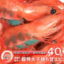 17位! 口コミ数「0件」評価「0」[D023] 獲れたて鮮度抜群！姫丸の子持ち甘エビ40匹丸ごと昆布〆【1～10月発送】