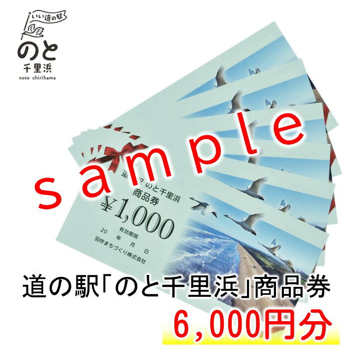 [G048] 道の駅のと千里浜オリジナル商品券（6,000円）
