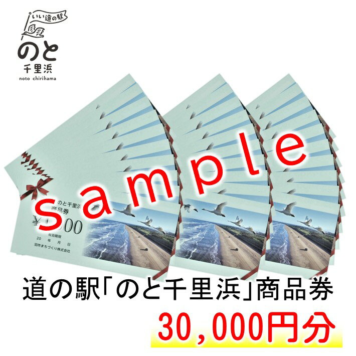 [G051] 道の駅のと千里浜オリジナル商品券（30,000円）