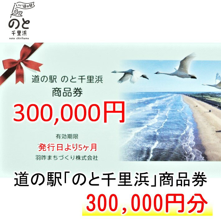 【ふるさと納税】[G053] 道の駅のと千里浜オリジナル商品券（300,000円）