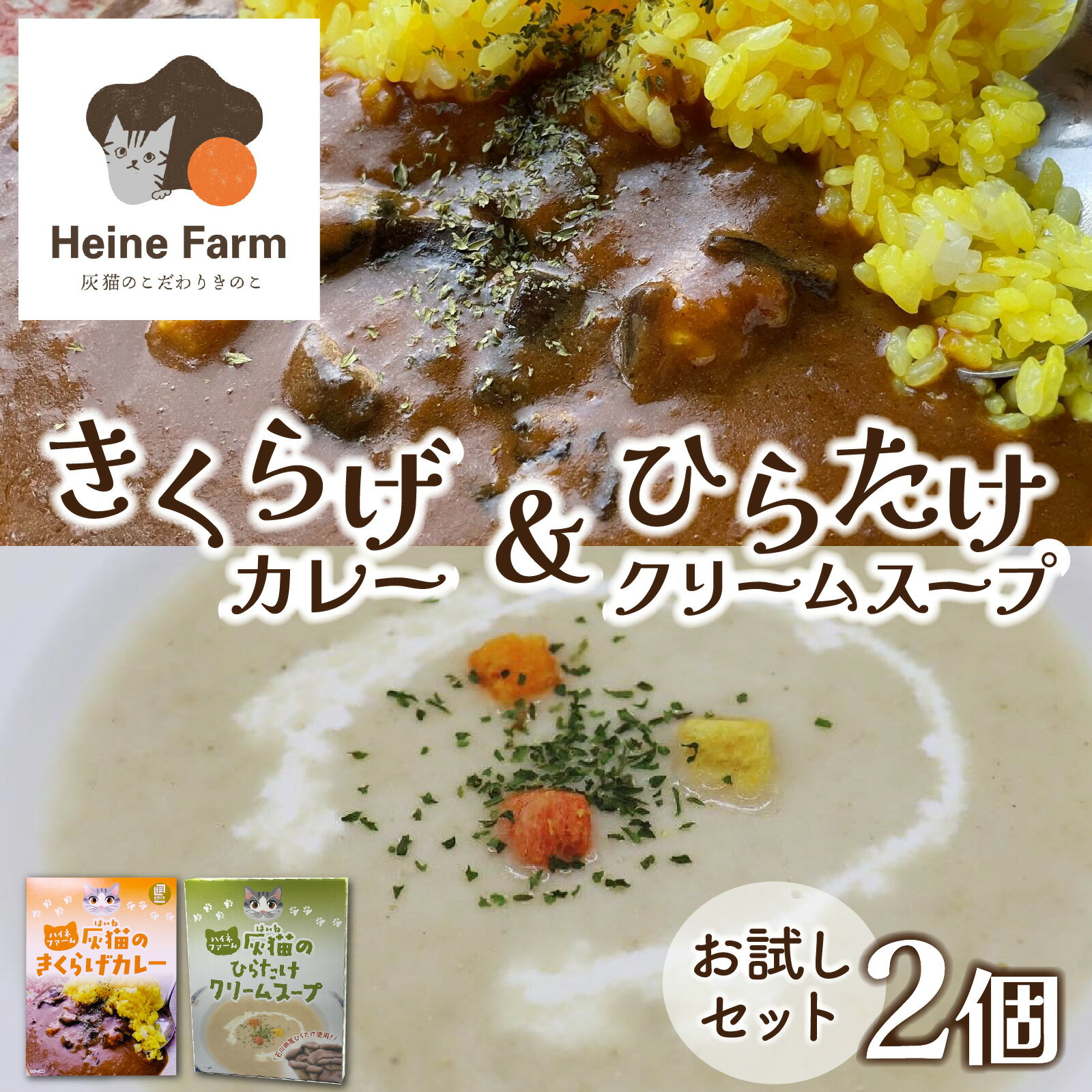 【ふるさと納税】灰猫のきくらげカレー&ひらたけクリームスープのお試しセット