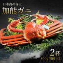【ふるさと納税】【先行予約】加能ガニ 800g前後 × 2杯 計1.6kg【2026年1月中旬より順次発送】|加能がに ズワイガニ かに カニ 蟹 ボイル 姿 ...