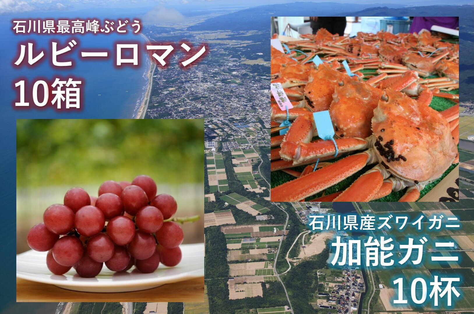 ルビーロマン（令和6年度発送）10箱と、加能ガニ10杯【セットF】