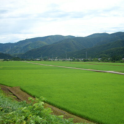 石川県白山市の画像2