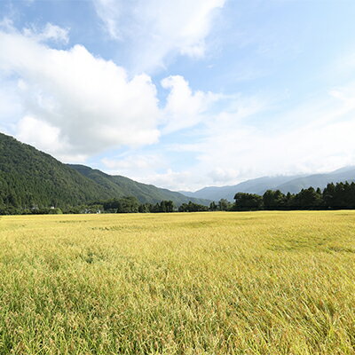 石川県白山市の画像3