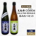 【ふるさと納税】【白山の地酒】天狗舞 COMON(コモン)純米大吟醸 特別純米酒呑み比べセット【1215919】