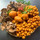 【ふるさと納税】白山の幸(竹)【配送不可地域:離島・北海道・沖縄県】【1259400】