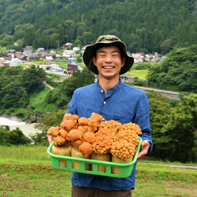 【ふるさと納税】白山の幸セット(梅)【配送不可地域：離島・北海道・沖縄県】【1301303】