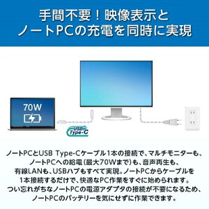 【ふるさと納税】 EIZO の USB Type-C 入出力搭載 24.1型 モニター FlexScan EV2495 ホワイト _ 液晶 液晶モニター パソコン pcモニター ゲーミングモニター USB Type-C デイジーチェーン【1323416】