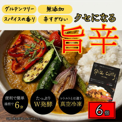 【ふるさと納税】発酵スパイスカレー6個 ★白山麓のW発酵とスパイス5種 クセになる旨辛 グルテンフリー&無添加【配送不可地域：離島】【1376653】