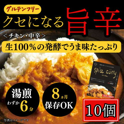 【ふるさと納税】発酵スパイスカレー10個 ★白山麓のW発酵とスパイス5種 クセになる旨辛 グルテンフリー&無添加【配送不可地域：離島】【1376659】