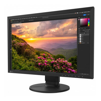 【ふるさと納税】EIZOの24.1型カラーマネージメント液晶モニター ColorEdge CS2400S【1384279】