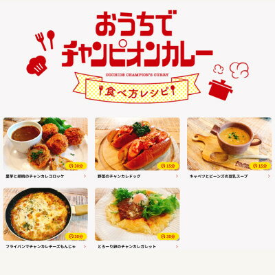 【ふるさと納税】チャンピオンカレー レトルトカレー8個詰め合わせ【1460155】 f172103-hakusan-10000369 石川県白山市 サンプル画像3