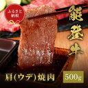 【ふるさと納税】【和牛セレブ】能登牛 牛肩(ウデ) 焼肉 500g(200g+300g)【配送不可地域:離島】【1556786】