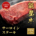 【ふるさと納税】能登牛 サーロインステーキ 240g×3枚【配送不可地域:離島】【1556799】