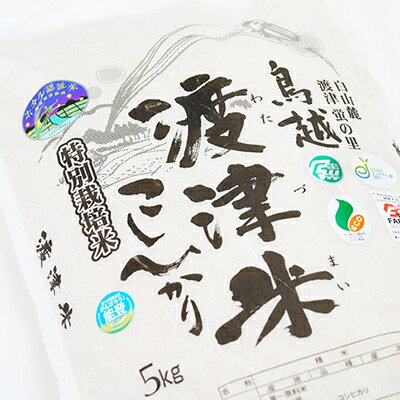 【ふるさと納税】《高級日本料理店採用》蛍の里「渡津米」白米5kg・栽培期間中農薬化学肥料70%減【1556918】 f172103-hakusan-10000561 石川県白山市 サンプル画像2