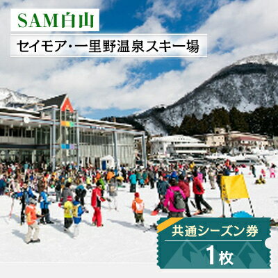 【ふるさと納税】 SAM 白山 共通シーズン券 _ 石川県 白山市 観光 体験 スキー場 スキー シーズン券 チケット 利用券 スノボ スノーボード ウィンタースポーツ 【1250040】のサムネイル