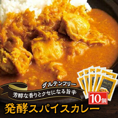 発酵スパイスカレー10個★5種のスパイスと白山麓のW発酵 芳醇な香り&クセになる旨辛 グルテンフリー