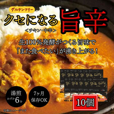 17位! 口コミ数「1件」評価「5」発酵スパイスカレー10個★5種のスパイスと白山麓のW発酵 芳醇な香り&クセになる旨辛 グルテンフリー【配送不可地域：離島】【1376659】