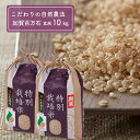 【ふるさと納税】「新米」加賀百万石特別栽培米コシヒカリ玄米1...
