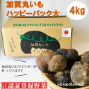 【ふるさと納税】加賀のまる芋ハッピーパック(大) 【野菜】 ...