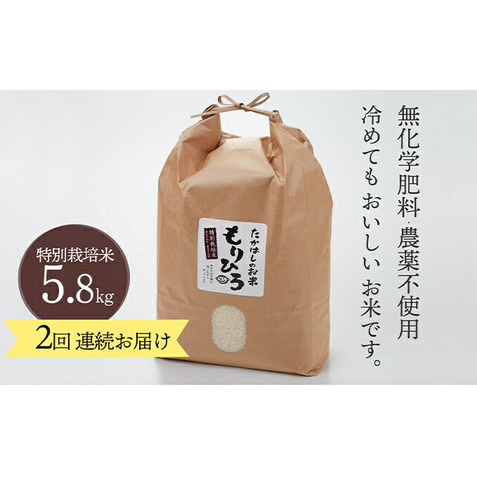 【ふるさと納税】石川県産特別栽培米コシヒカリ「もりひろ」5.8kg2回連続お届け　【...