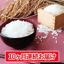 【ふるさと納税】【特別栽培米】豊かなお米・コシヒカリ・5キロ...