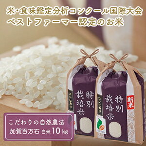 【ふるさと納税】 【令和7年度産】加賀百万石特別栽培米コシヒカリ白米10kg お届け:2025年9月末から順次出荷