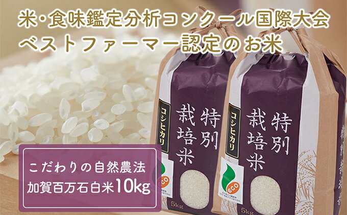 【ふるさと納税】 【令和7年度産】加賀百万石特別栽培米コシヒカリ白米10kg 　お届け：2025年9月末から順次出荷
