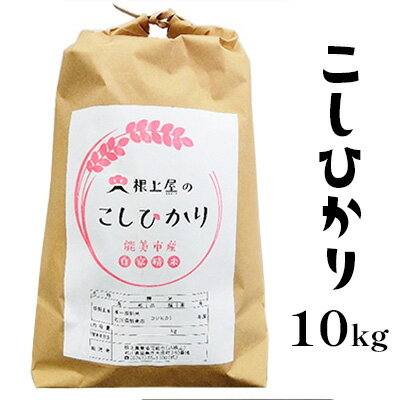 【ふるさと納税】根上屋のこしひかり 10kg お米 コシヒカリ 米